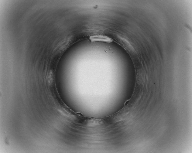 X0000096200077200802011309