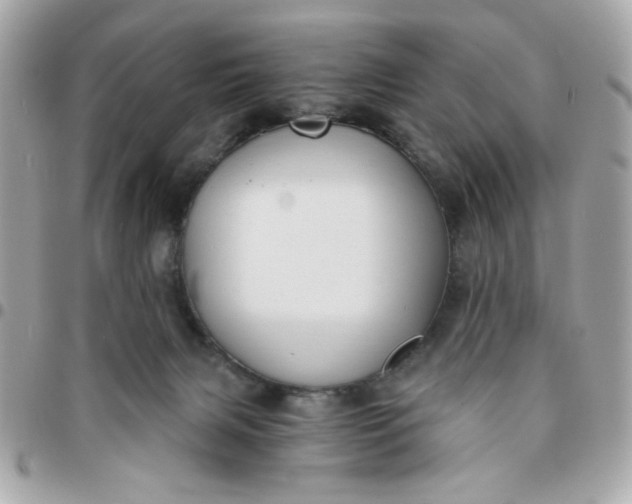 X0000096200079200802011309