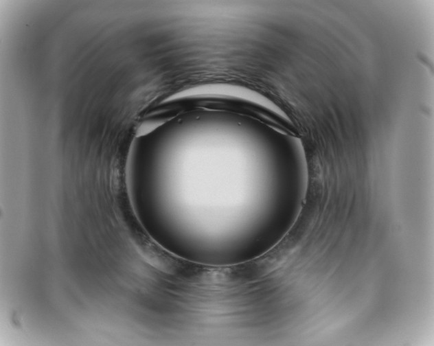 X0000096200080200802011309