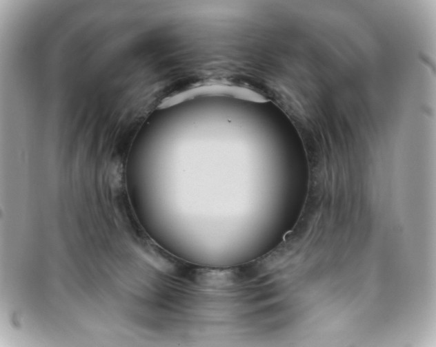 X0000096200081200802011309