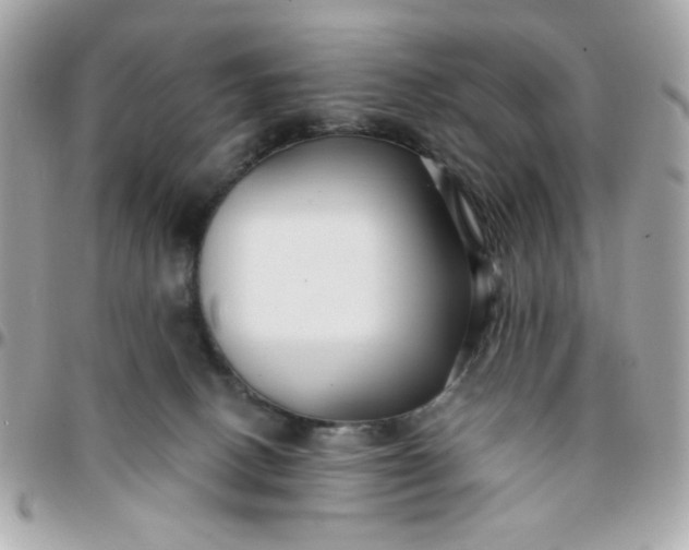 X0000096200082200802011309