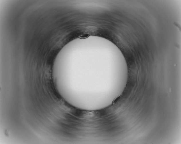 X0000096200083200802011309