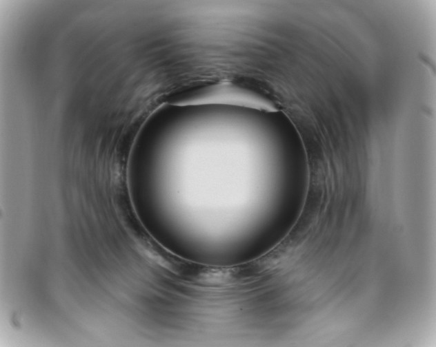 X0000096200084200802011309