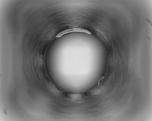 X0000096200085200802011309