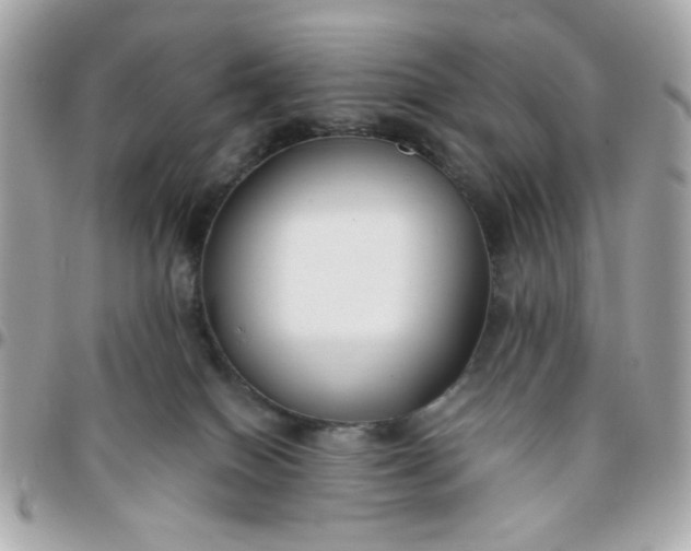 X0000096200086200802011309