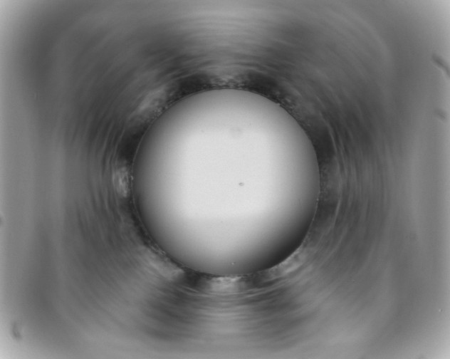 X0000096200090200802011309