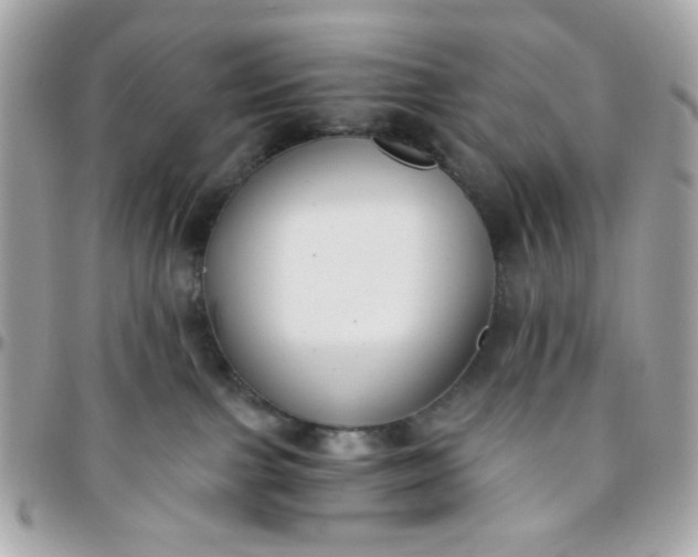 X0000096200091200802011309