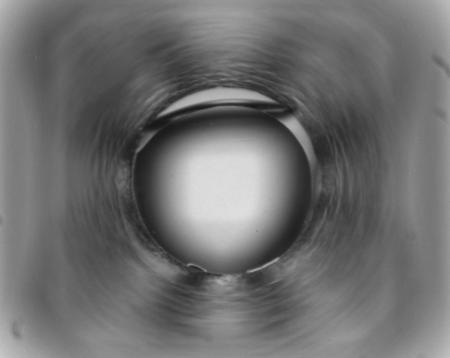 X0000096200092200802011309