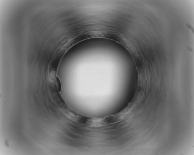 X0000096200093200802011309