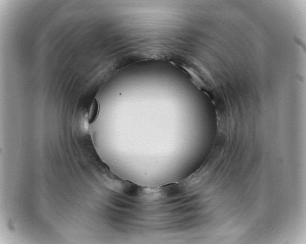 X0000096200095200802011309