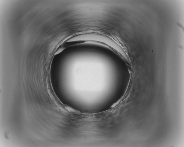 X0000096200097200802011309