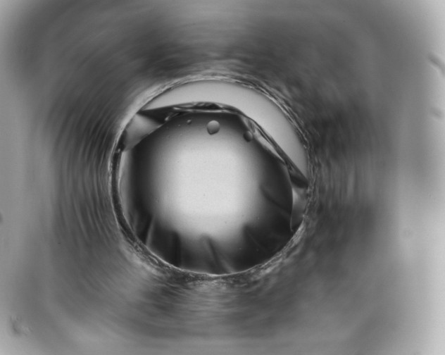 X0000096200100200802011308