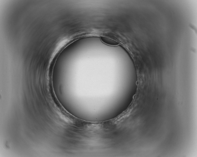 X0000096200102200802011308