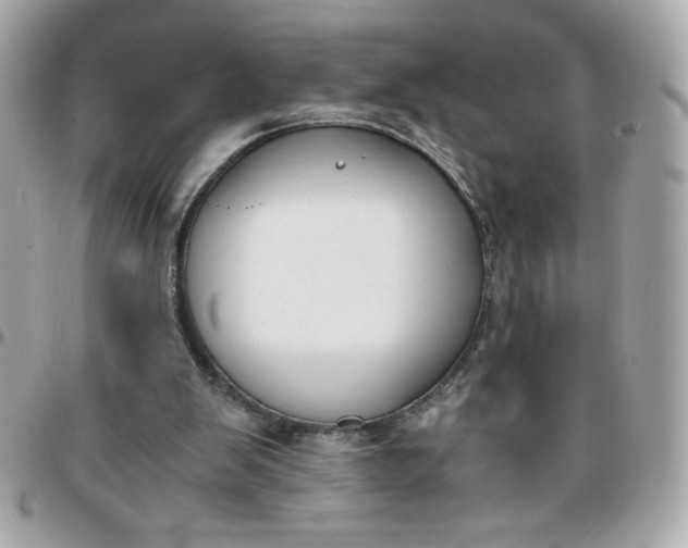 X0000096200103200802011308