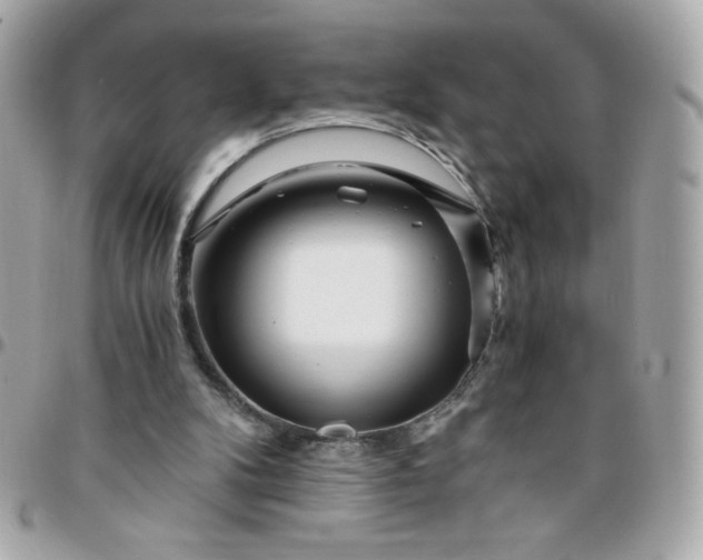 X0000096200104200802011308