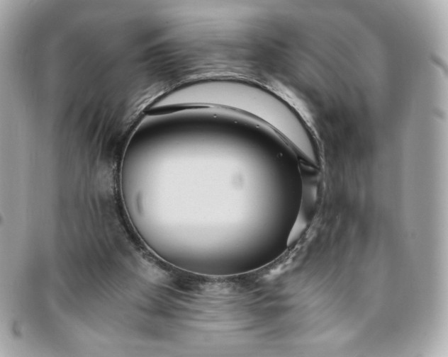 X0000096200105200802011308