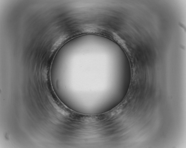 X0000096200106200802011308