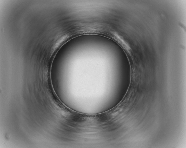 X0000096200107200802011308