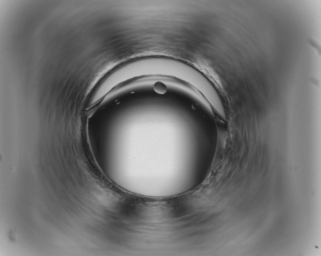 X0000096200108200802011308