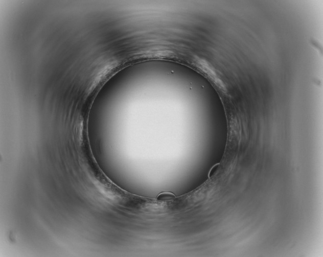 X0000096200110200802011308