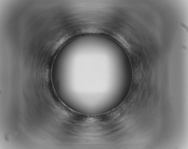 X0000096200111200802011308