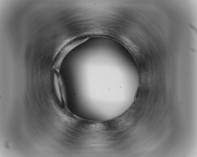 X0000096200112200802011308