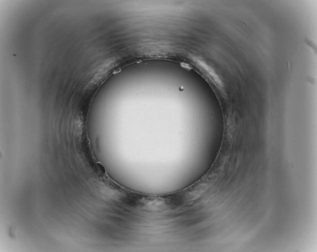 X0000096200113200802011308