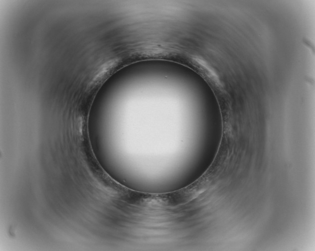 X0000096200115200802011308