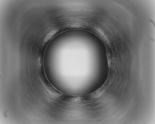 X0000096200116200802011308