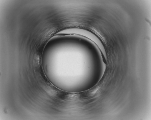 X0000096200117200802011308