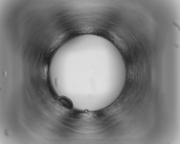 X0000096200118200802011308