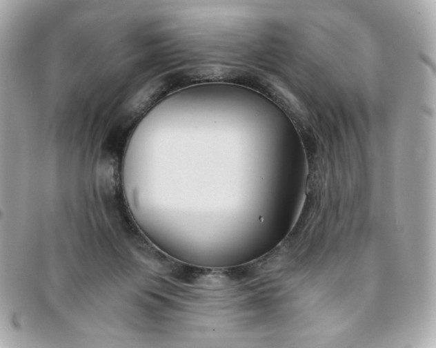 X0000096200119200802011308