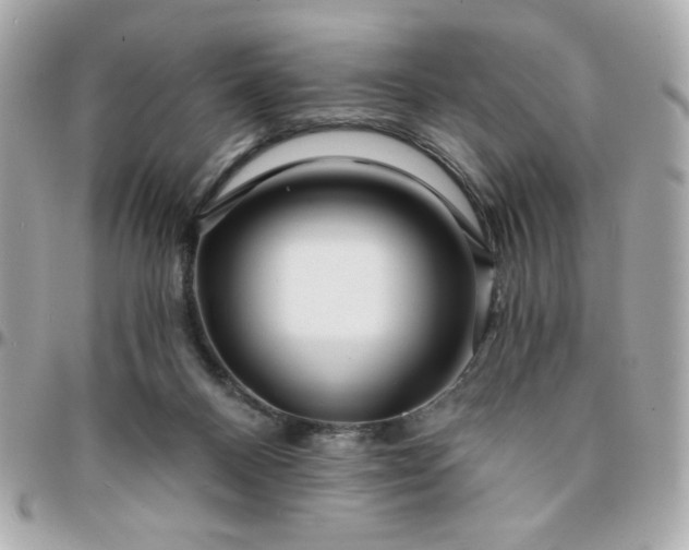 X0000096200120200802011308