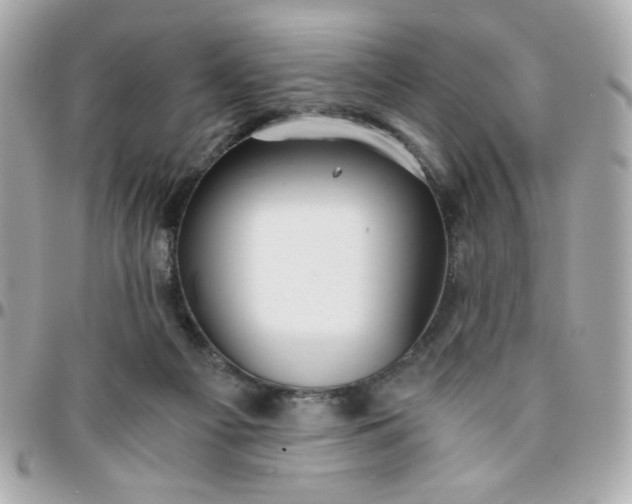 X0000096200121200802011308