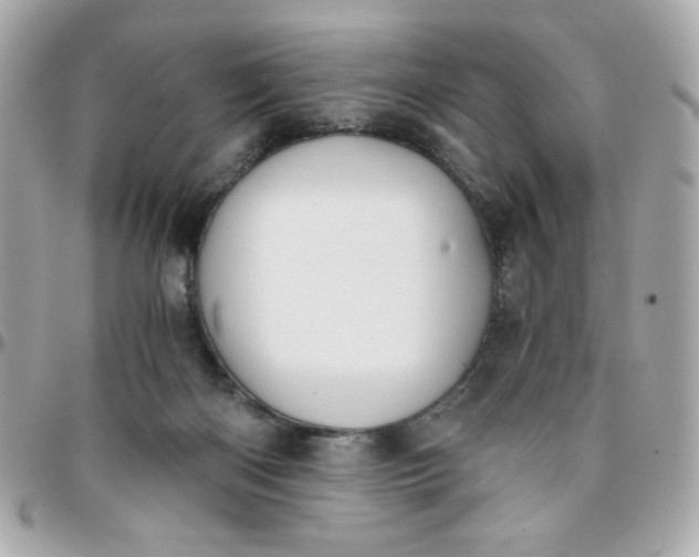 X0000096200122200802011308