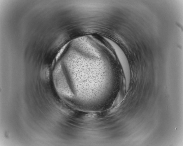 X0000096200124200802011308