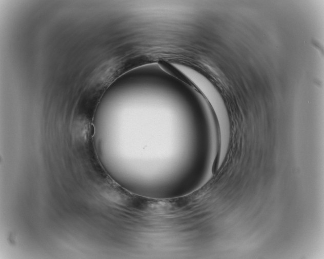 X0000096200125200802011308