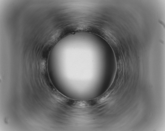 X0000096200127200802011308