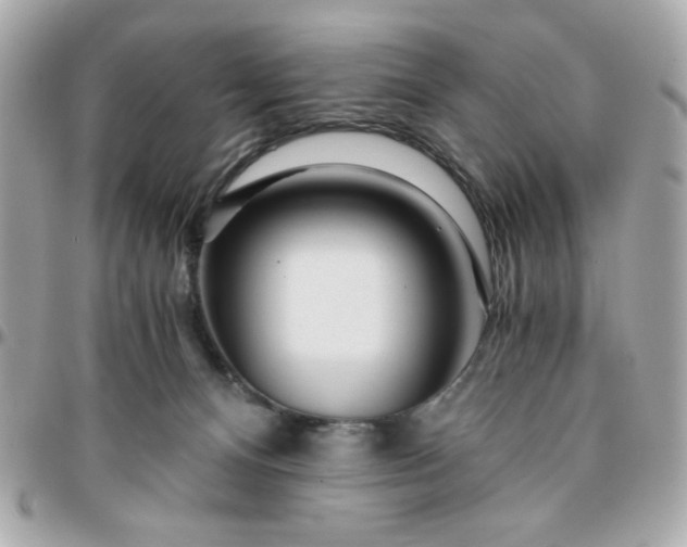 X0000096200128200802011308