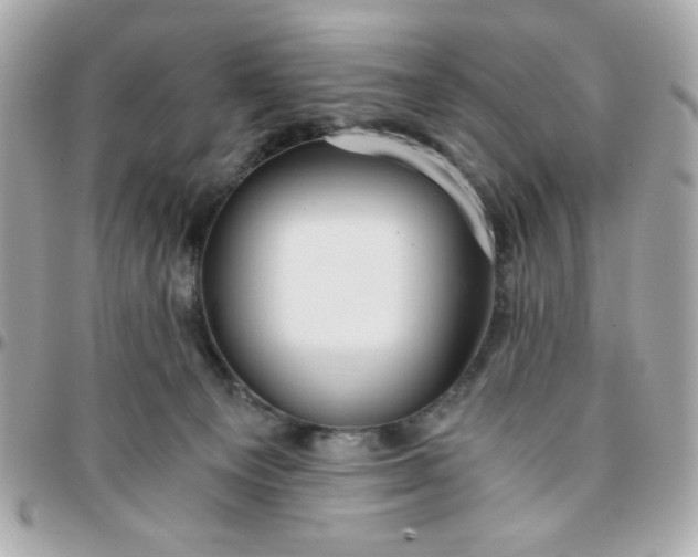 X0000096200129200802011308