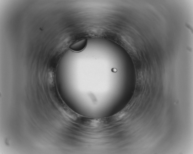 X0000096200130200802011308