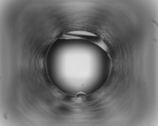 X0000096200131200802011308