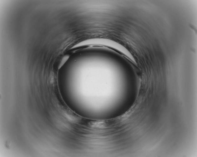 X0000096200132200802011308