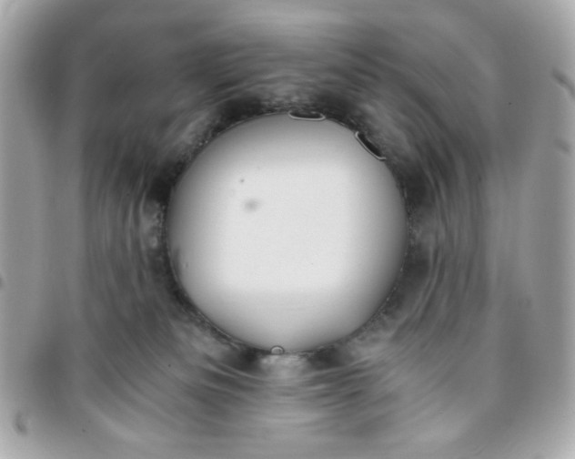 X0000096200133200802011308