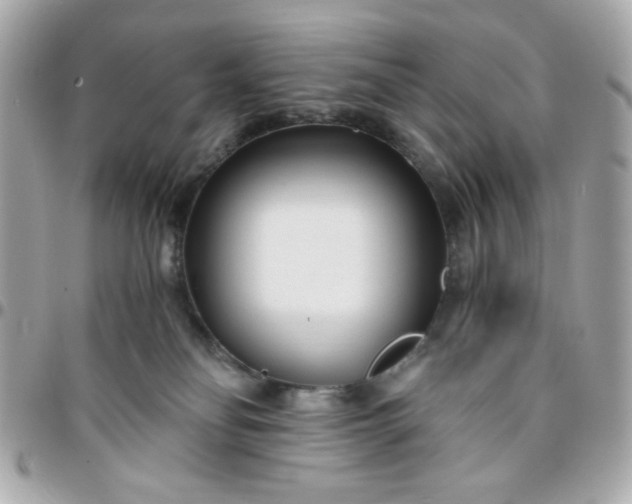 X0000096200134200802011308