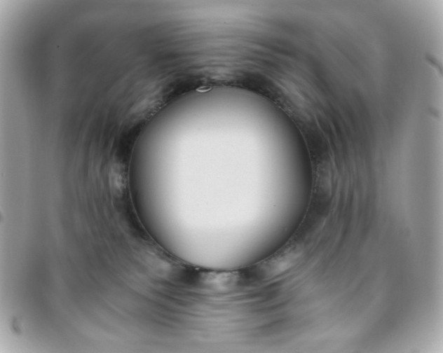 X0000096200135200802011308