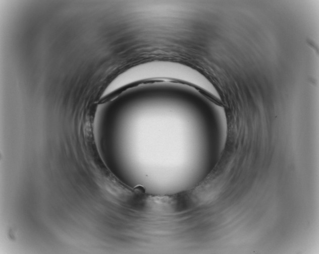 X0000096200137200802011308