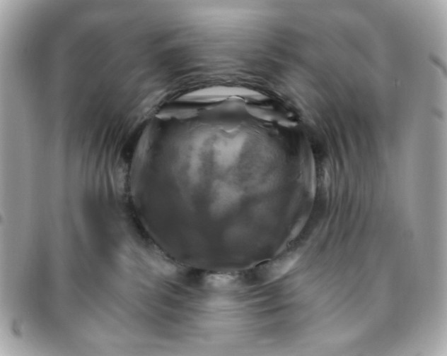 X0000096200139200802011308