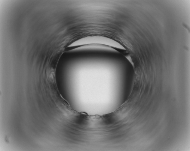 X0000096200141200802011308