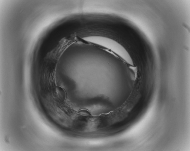 X0000096200143200802011308